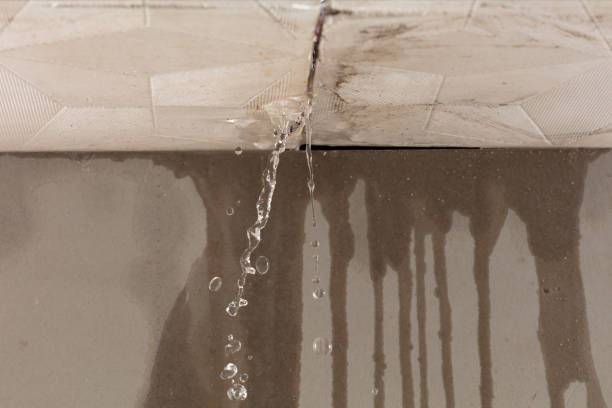 Professional Water Damage Repair technician working in Everett, MA